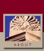 About Zeus NewMedia