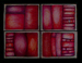 Containment