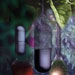 PhytoPharmica Booth