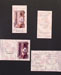 Soft Elegance Inserts